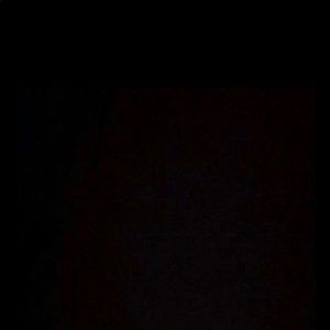 Meet your Posher, Niki